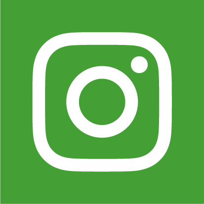 Insta-Icon_gruen